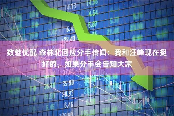 数魅优配 森林北回应分手传闻：我和汪峰现在挺好的，如果分手会告知大家