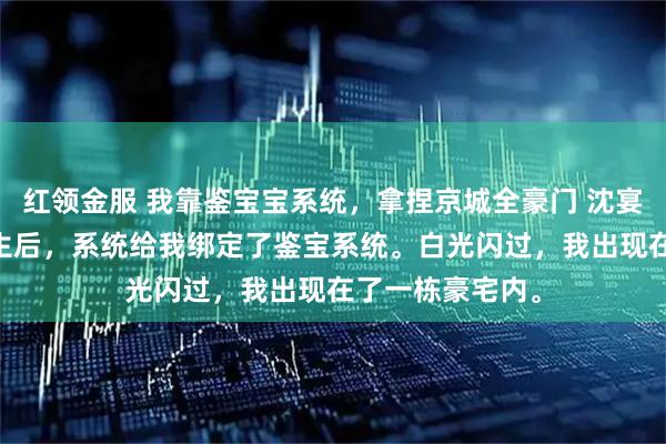 红领金服 我靠鉴宝宝系统，拿捏京城全豪门 沈宴林夏沈慕辰 重生后，系统给我绑定了鉴宝系统。白光闪过，我出现在了一栋豪宅内。