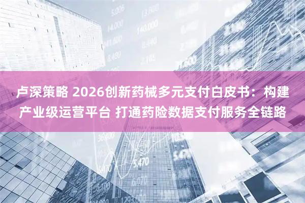 卢深策略 2026创新药械多元支付白皮书：构建产业级运营平台 打通药险数据支付服务全链路